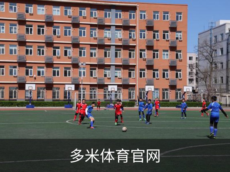 多米体育官网简介